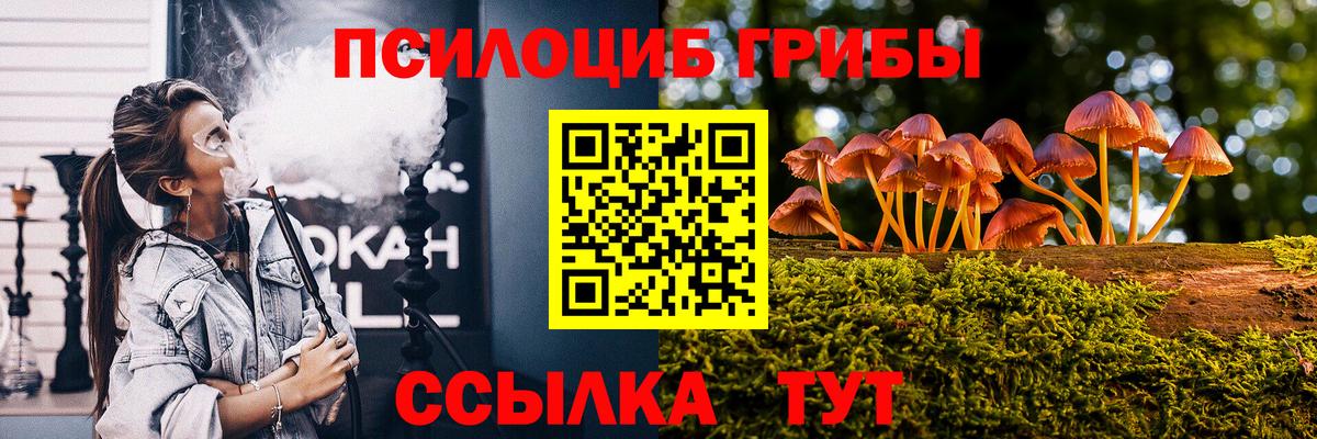 Дедовск  Псилоцибиновые грибы прущие грибы  Вход с VPN 