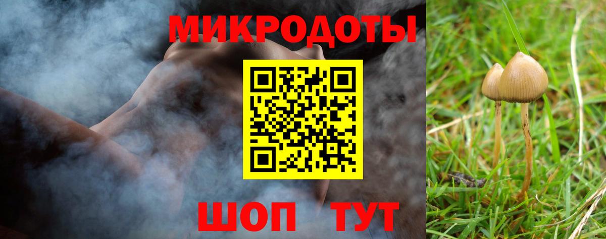 Галлюциногенные грибы MAGIC MUSHROOMS Дедовск